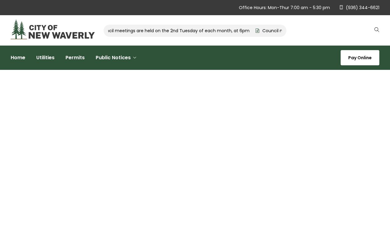 Official New Waverly city website availability capture
